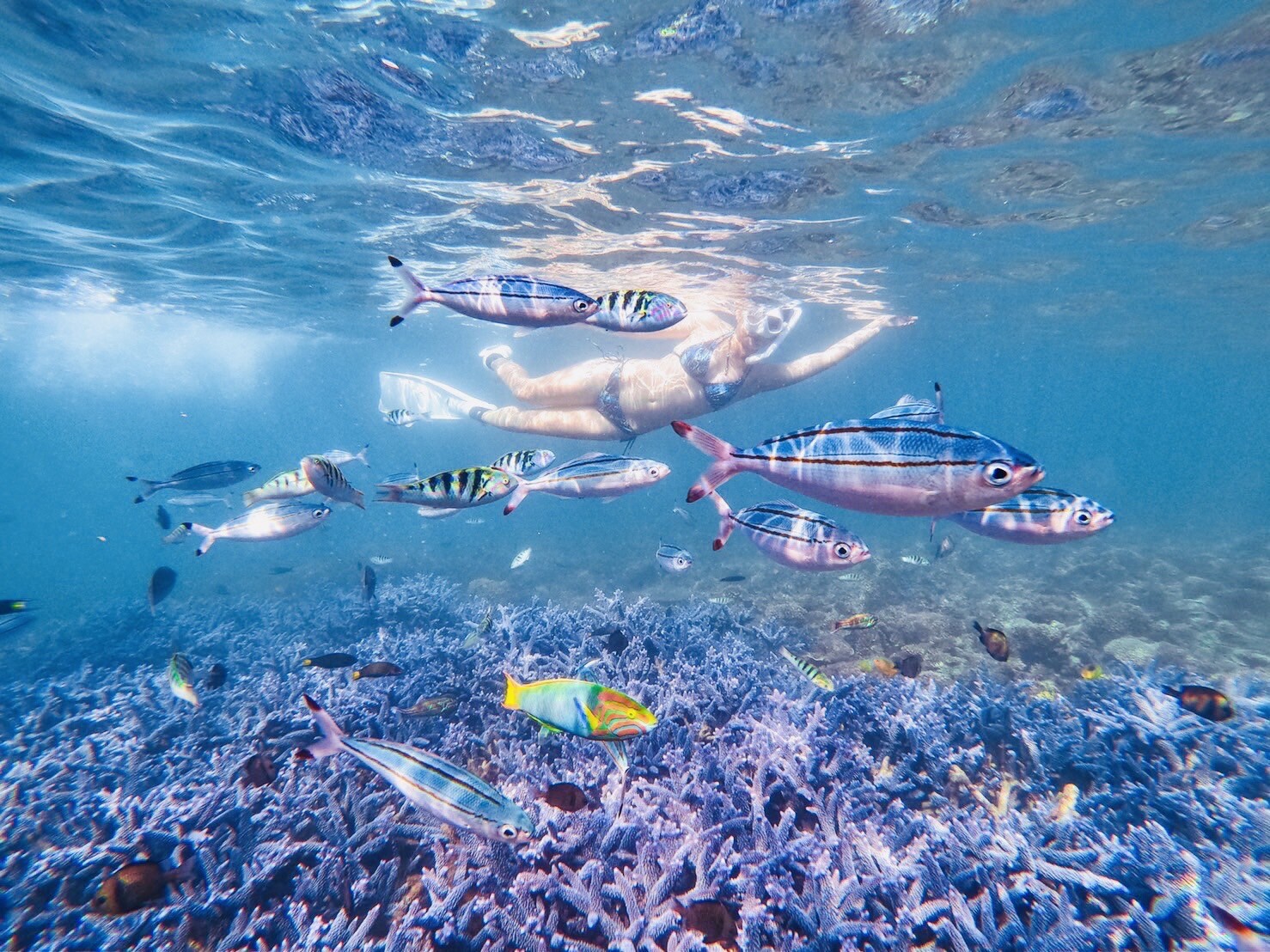 忘憂島浮潛